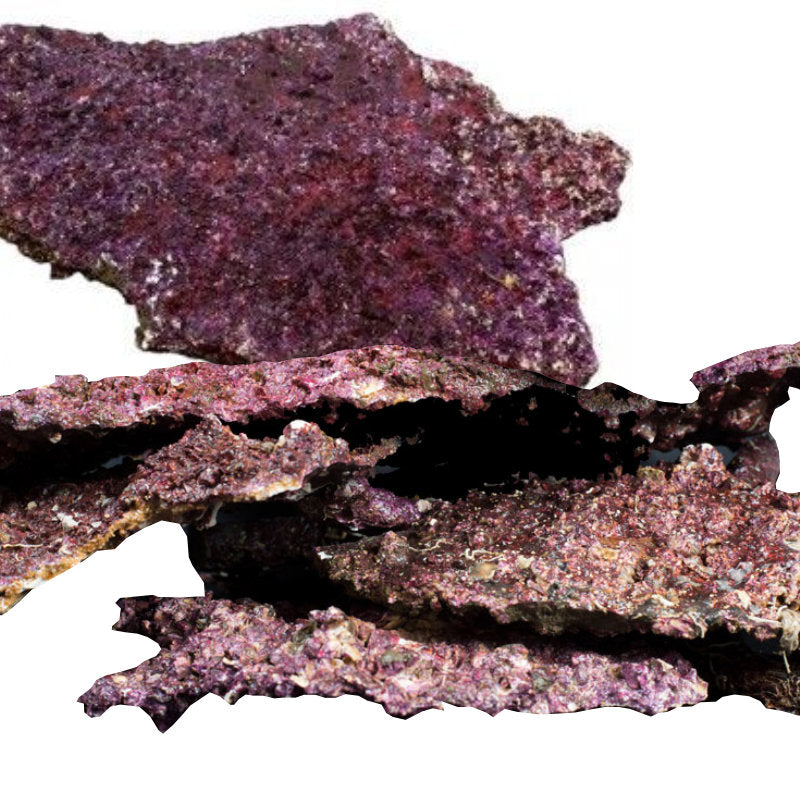 Real Reef Rock Plate 1kg