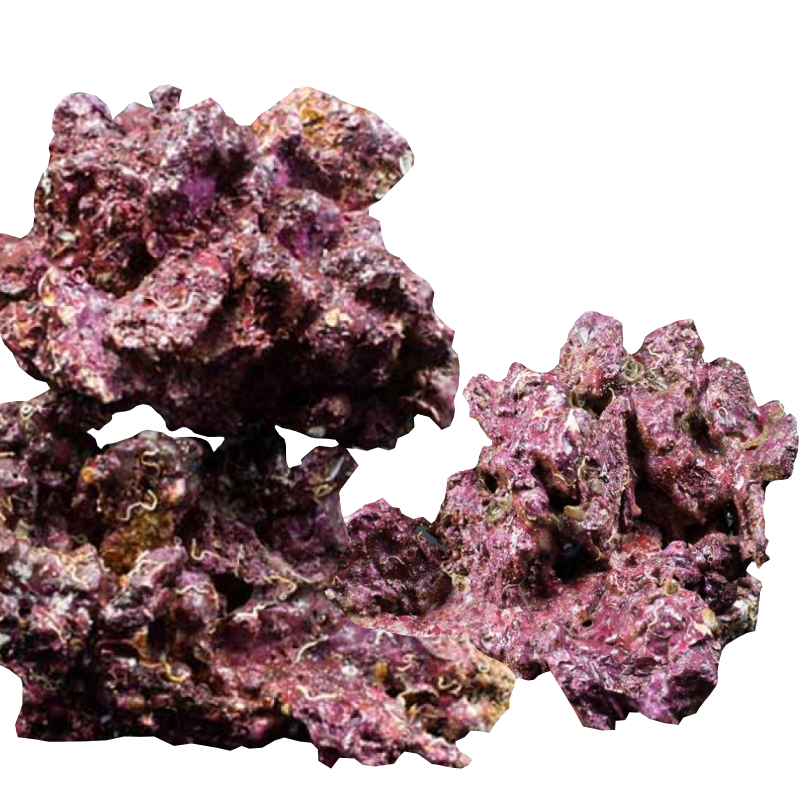 Real Reef Rock Premium 25kg Box