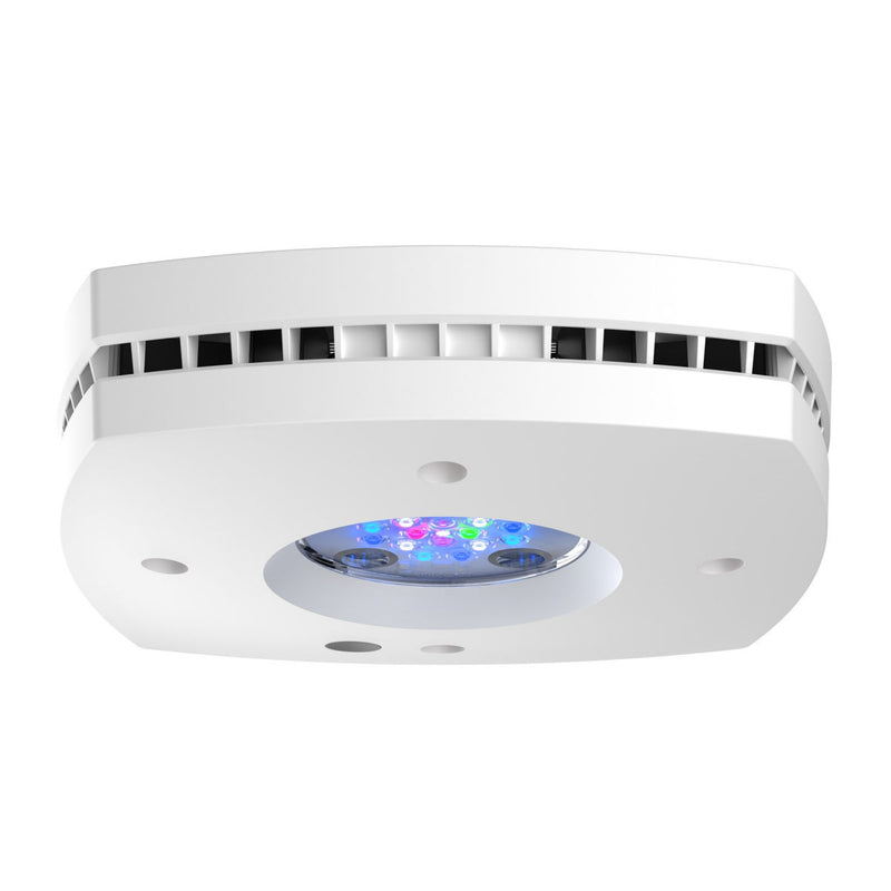 AI Prime 16HD White
