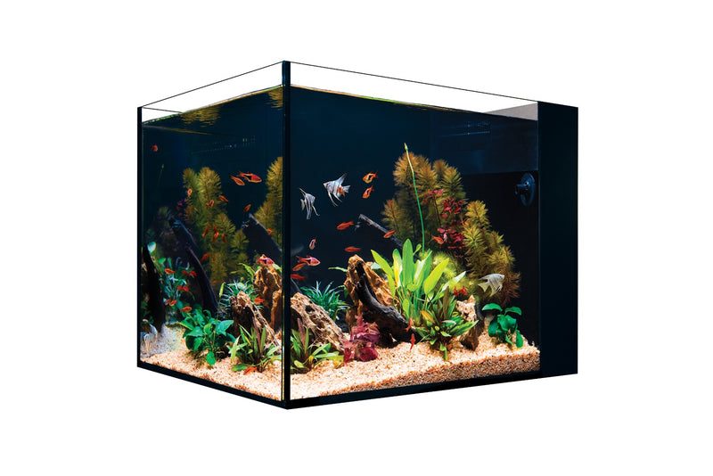 Red Sea DESKTOP Peninsula Aquarium