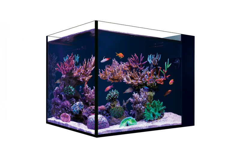 Red Sea DESKTOP Peninsula Aquarium & Black Cabinet