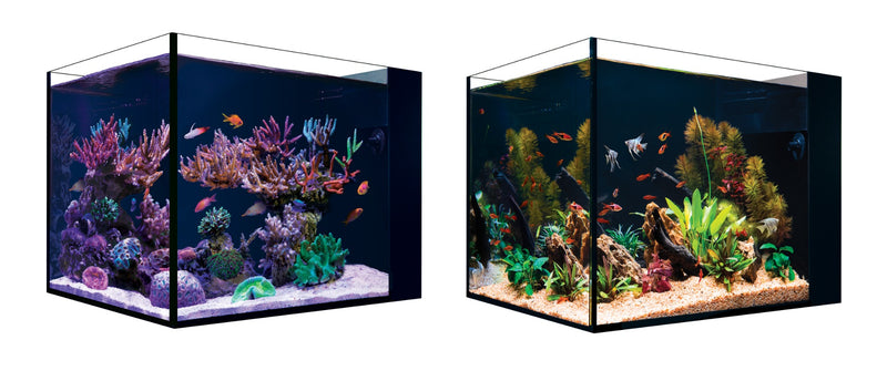 Red Sea DESKTOP Peninsula Aquarium & White Cabinet