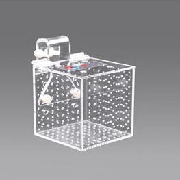 Red Starfish Acclimation Tank Small 1S