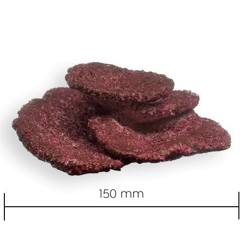 Real Reef Rock - Nano Plate Coral (Per Piece)