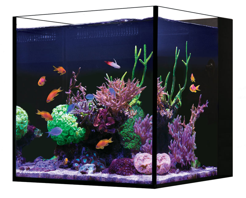 Red Sea DESKTOP Cube Aquarium & Black Cabinet