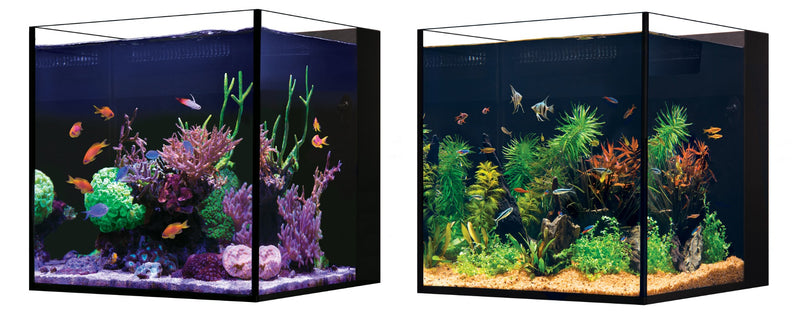 Red Sea DESKTOP Cube Aquarium & Black Cabinet