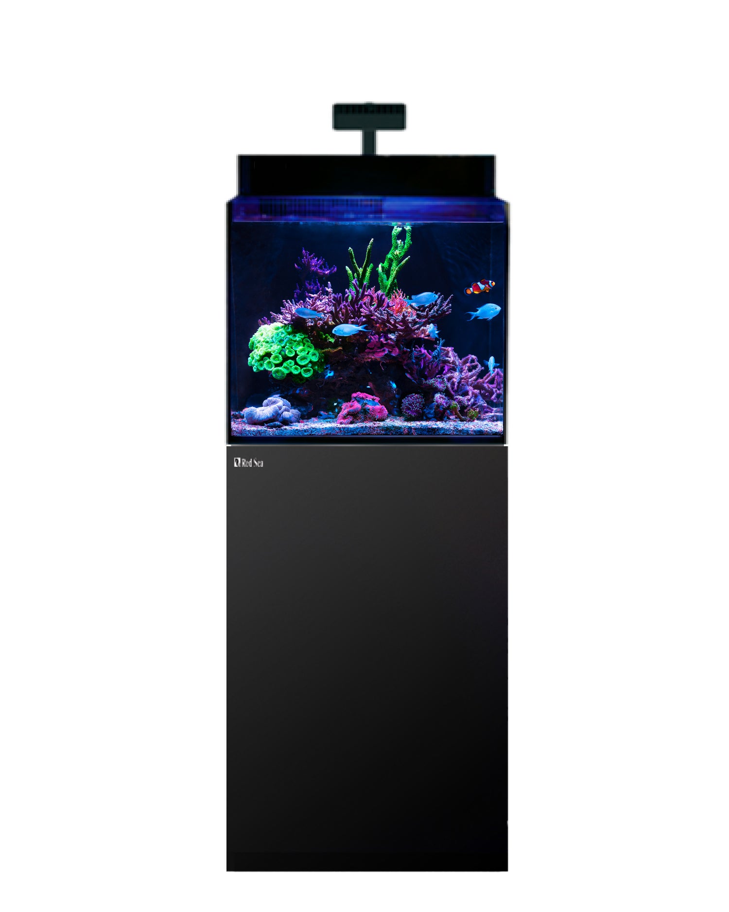 Red Sea Max Nano G2 XL 125L Reef System — Kraken Corals
