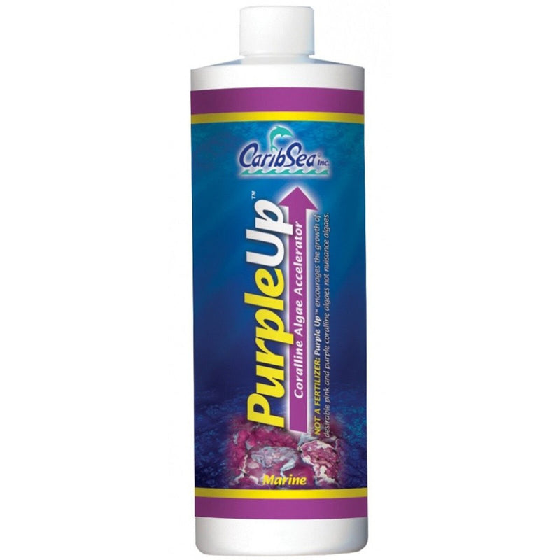 Caribsea Purple Up 16oz