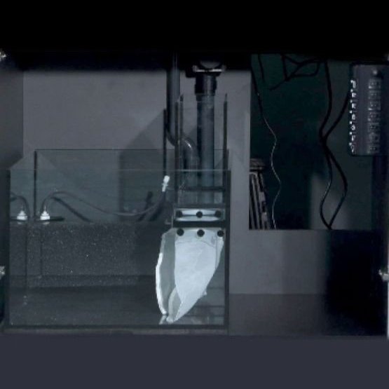 Red Sea MAX® E - 170 In-Cabinet Sump & Pipework Set