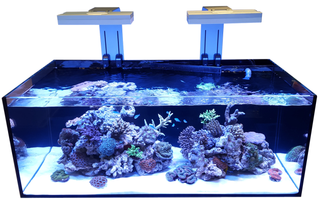 D-D Reef Pro 1200 Aquarium