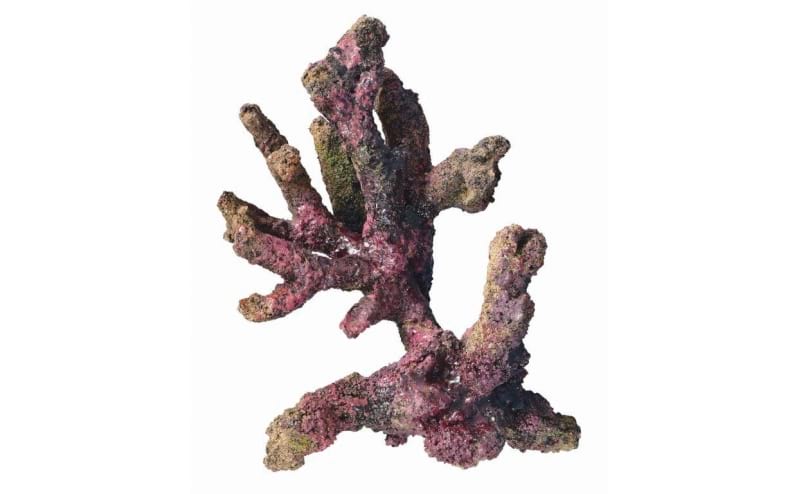 TMC EcoReef Rock Mix E - Branch Mix