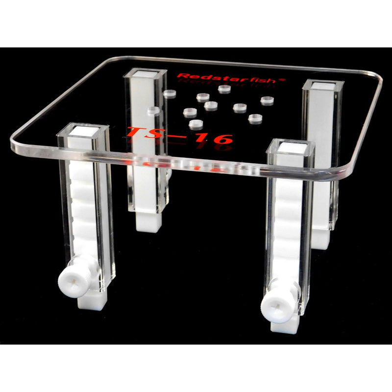 Red Starfish Skimmer Stand 16cm
