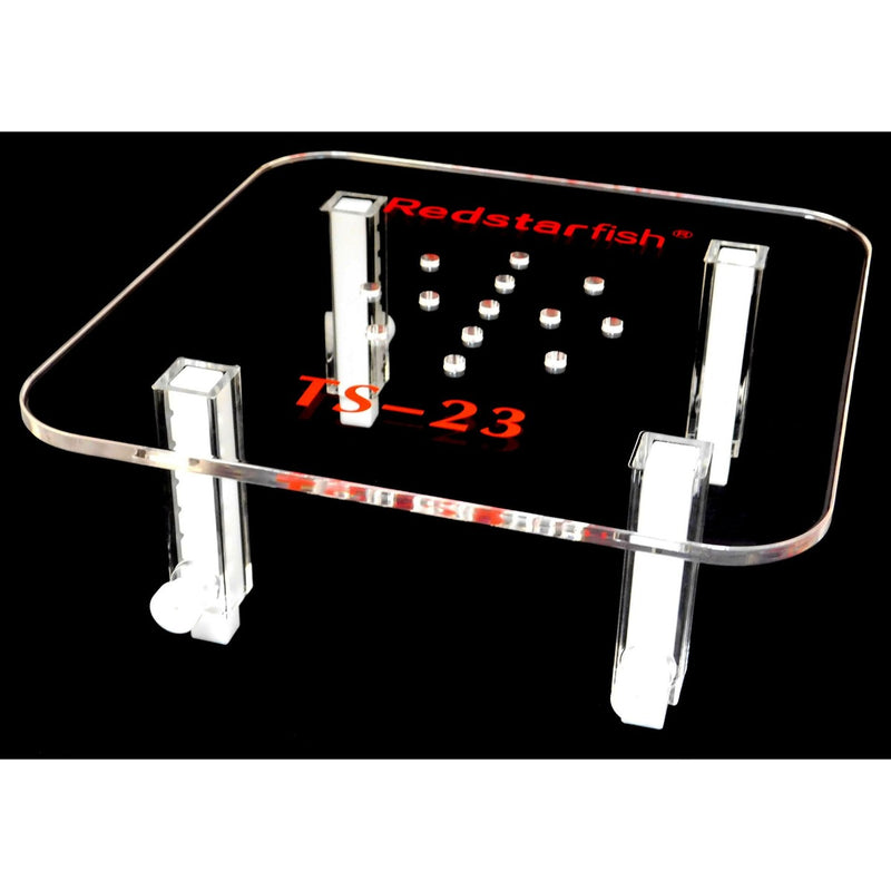 Red Starfish Skimmer Stand 23cm