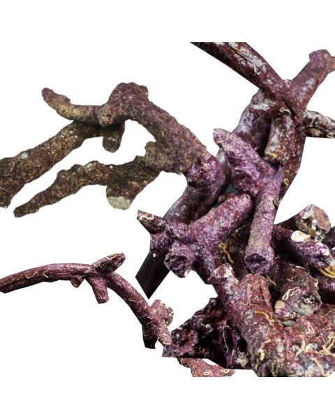 Real Reef Rock Branch 16kg Box 