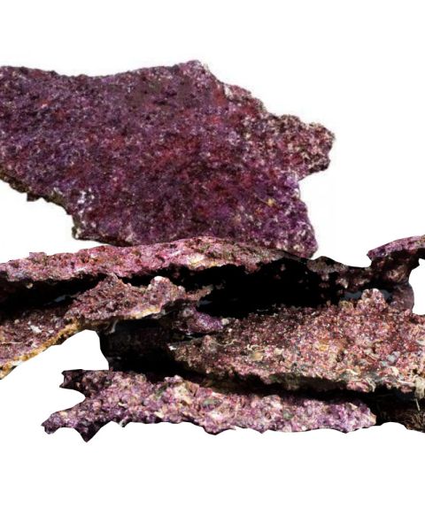 Real Reef Rock Plate 25kg Box 