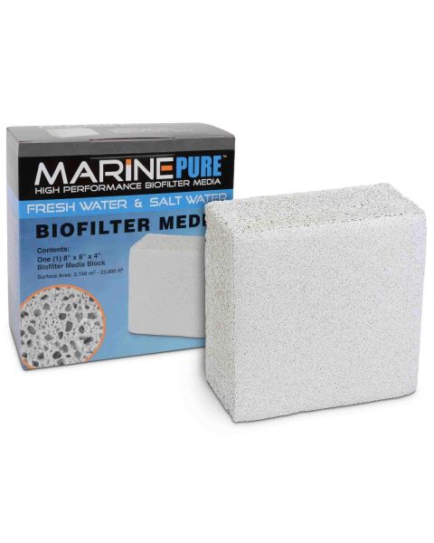 Marine Pure Block 20x20x10cm 