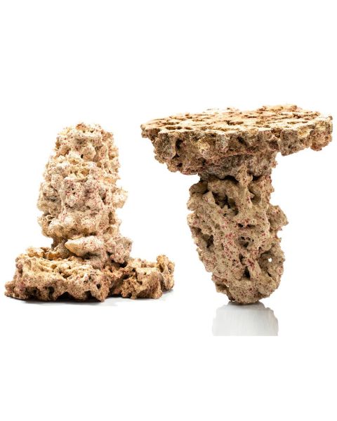 Caribsea Liferock Shrooms 2Pk 