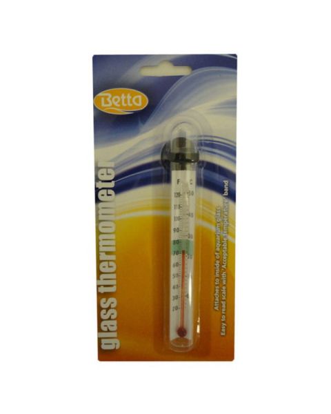 Glass Thermometer 