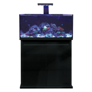 D-D Reef Pro 900 Aquarium