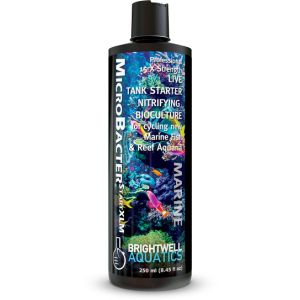 Brightwell Aquatics BacStart XLM Marine Starter Culture 125ml
