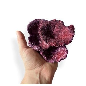 Real Reef Rock - Nano Plate Coral (Per Piece)
