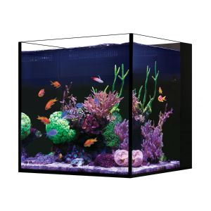 Red Sea DESKTOP Cube Aquarium