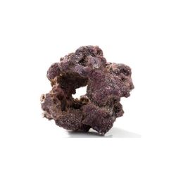 Caribsea Liferock Donuts 4Pk 