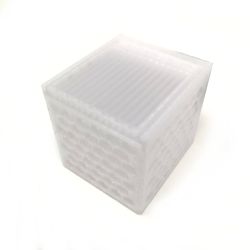 Kraken Corals Mushroom Acclimation Box 