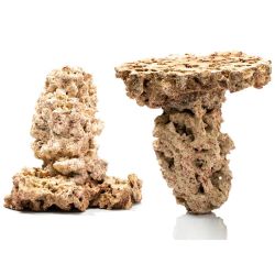 Caribsea Liferock Shrooms 2Pk 