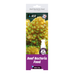 ASF Reef Bacteria Food 480ml - 24 Shots 